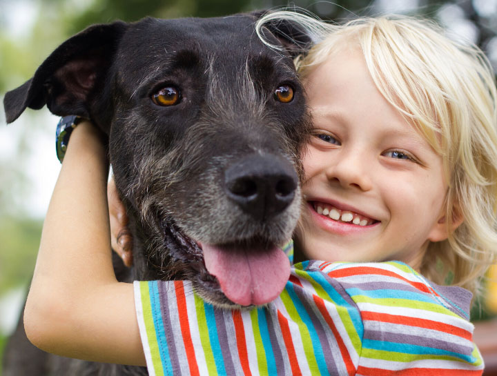 Pet Chemotherapy