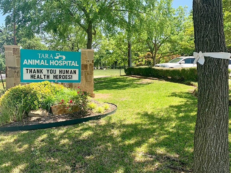veterinary hospital in Colleyville
